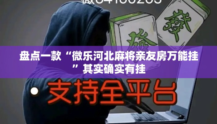 盘点一款“微乐河北麻将亲友房万能挂	”其实确实有挂