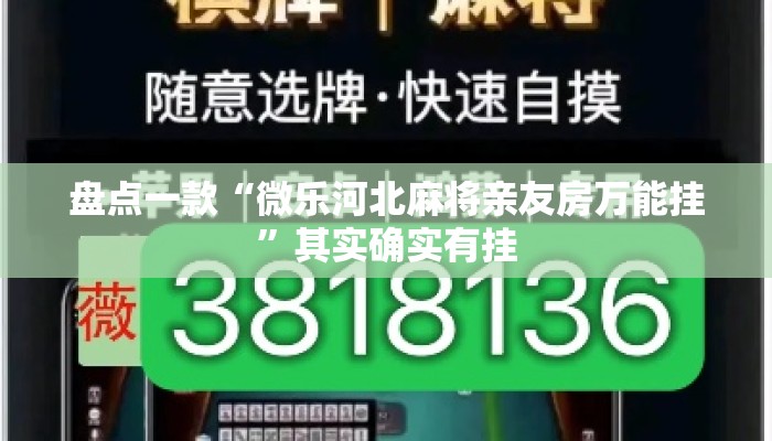 盘点一款“微乐河北麻将亲友房万能挂”其实确实有挂