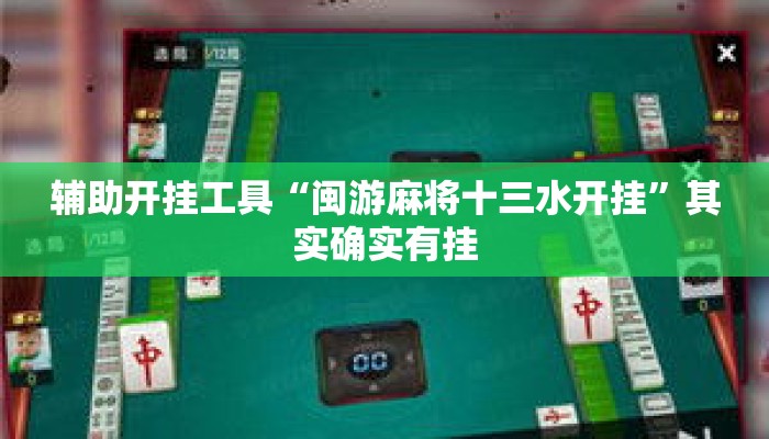 辅助开挂工具“闽游麻将十三水开挂”其实确实有挂