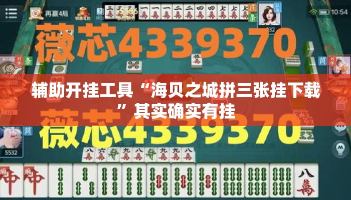 辅助开挂工具“海贝之城拼三张挂下载”其实确实有挂