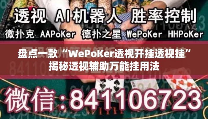 盘点一款“WePoKer透视开挂透视挂”揭秘透视辅助万能挂用法