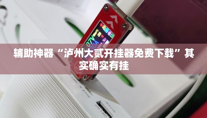 辅助神器“泸州大贰开挂器免费下载”其实确实有挂
